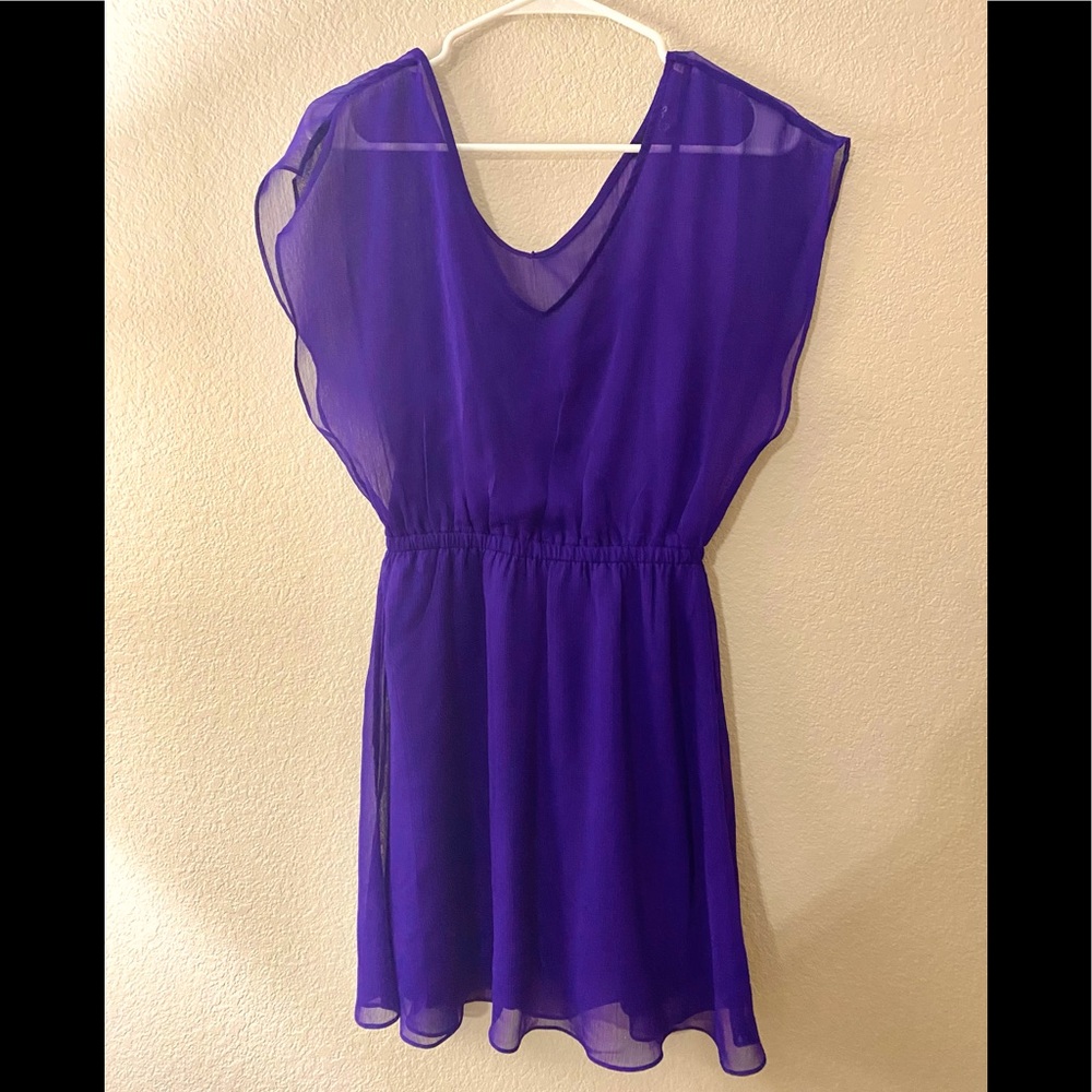 Purple Express Sheer Lined Dress